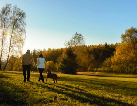 Lifestyle to reduce Dementia risk